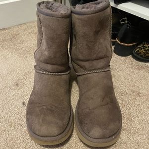 Taupe uggs in great condition